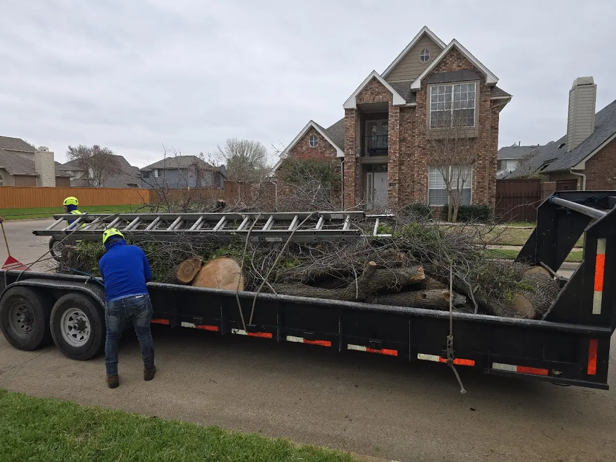 Expert Lot Clearing with proper safety equipment in Chauvin
